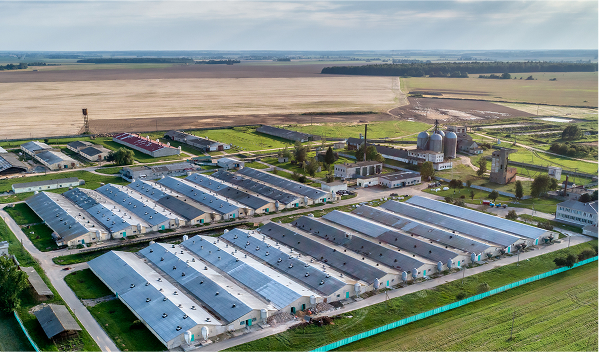 Industrial & Agricultural Accidents